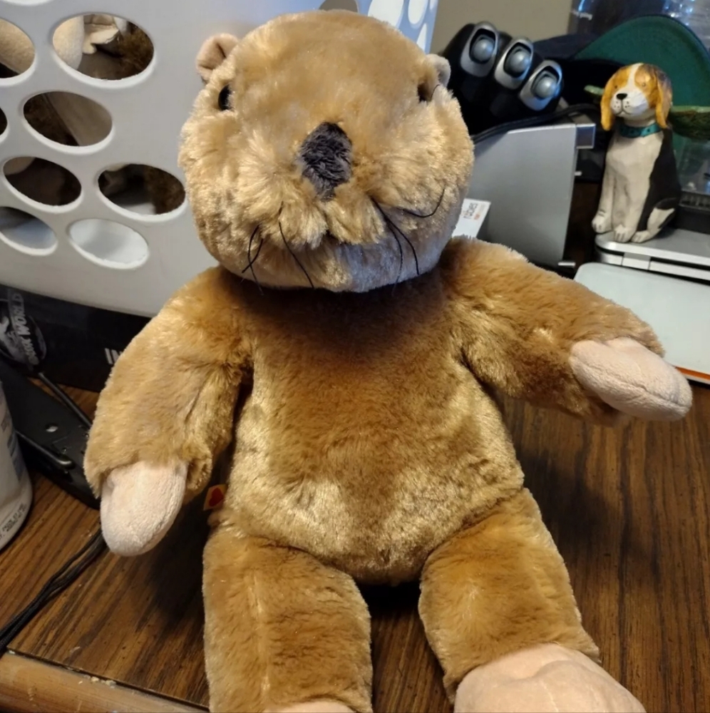St. Louis Zoo exclusive prairie dog